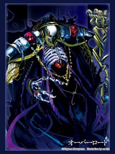 Bushiroad Sleeves/Deck Holder/Premium Deck Holder/Storage Box/Playmat Collection -Overlord- Series