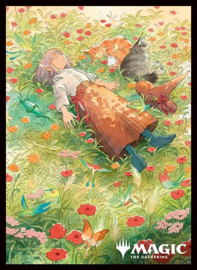 Ensky Sleeve Collection "Magic: The Gathering Adventures of the Little Witch" Series