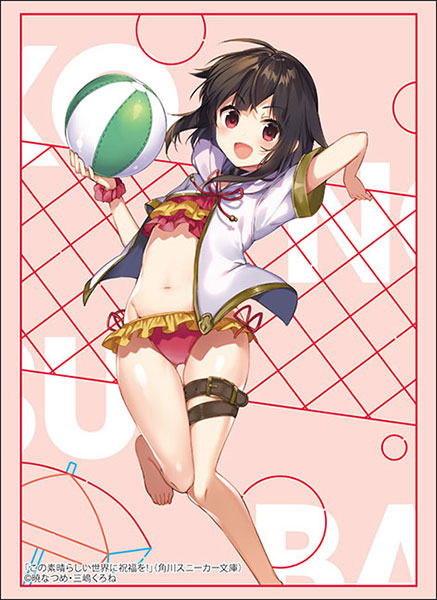 Bushiroad Sleeves & Rubber Mat Collection "Kadokawa Sneaker Bunko" Series