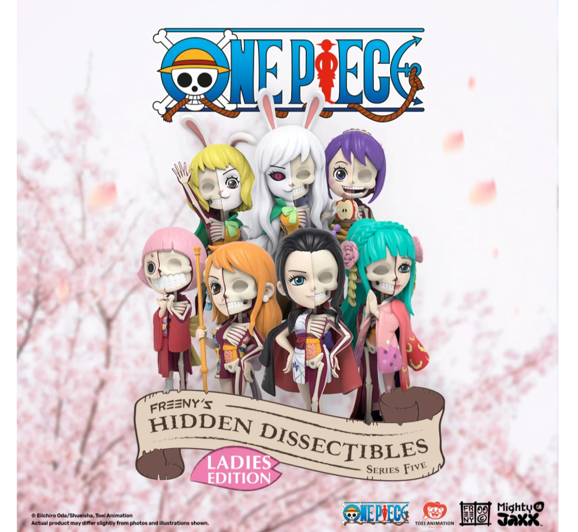 Mighty Jaxx x Freeny's Hidden Dissectibles One Piece Series 5 (Ladies Edition)-Single Box (Random)-Mighty Jaxx-Ace Cards & Collectibles